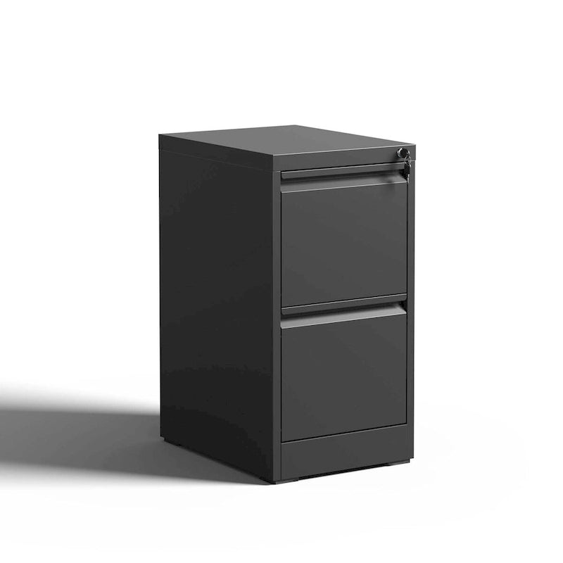 2-Drawers 14. W Metal Vertical File Cabinet with Lock Office Home Vertical File Cabinet for A4 Legal/Letter Size